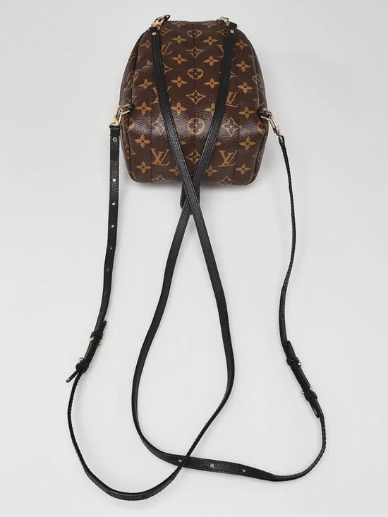 Louis Vuitton Monogram Canvas Palm Springs Mini Backpack Bag main image 4